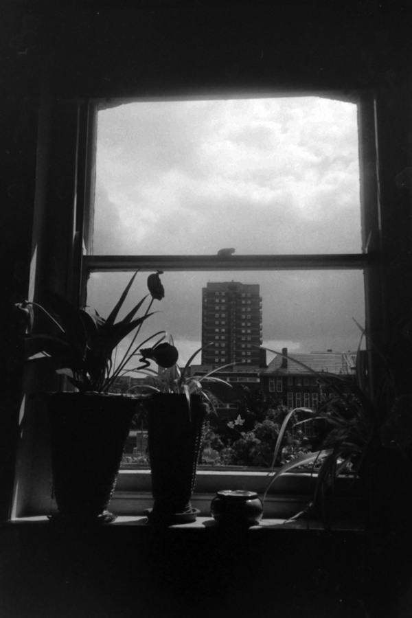 View from a Vallance Road window, 1998
