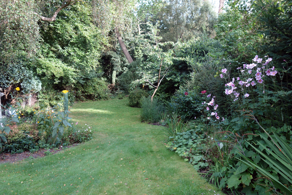 A Shropshire garden 2016