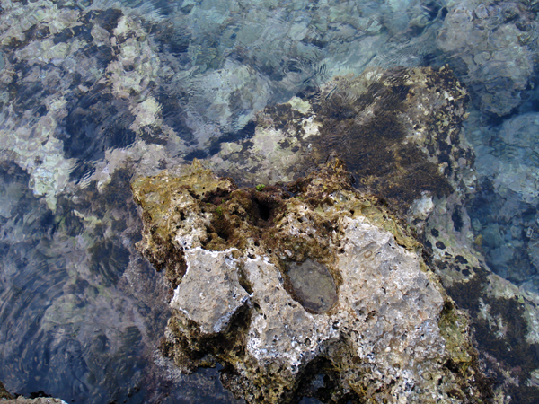 Rocks in the sea. Kyparissi, Greece 2009
