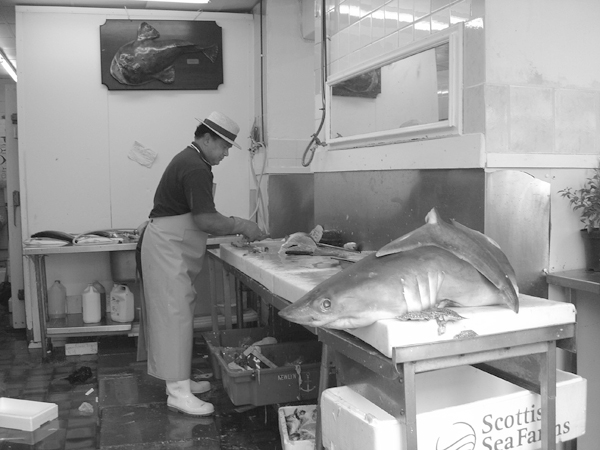 Fish at Portobello Road, London 2004