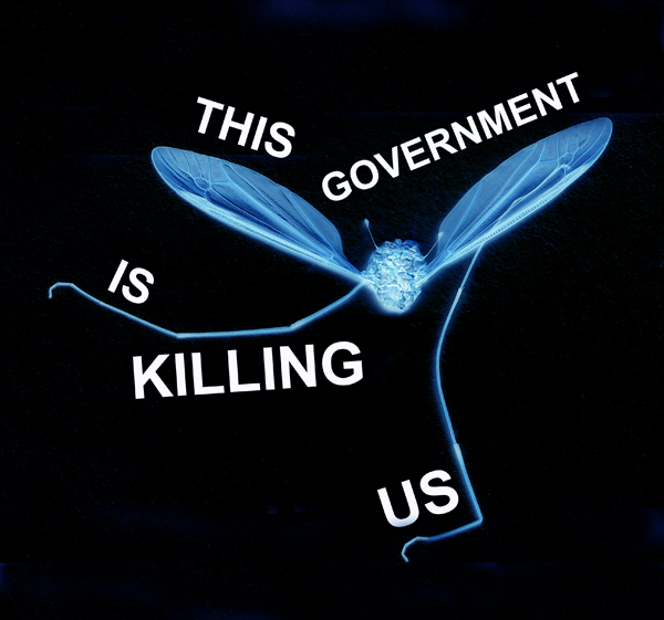 'This government is killing us'. For the general election 2017.