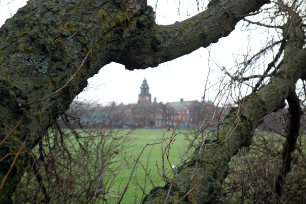 Bluecoat school in the distance viewed through the branches of the fallen tree in Wavertree Park. January 2018.