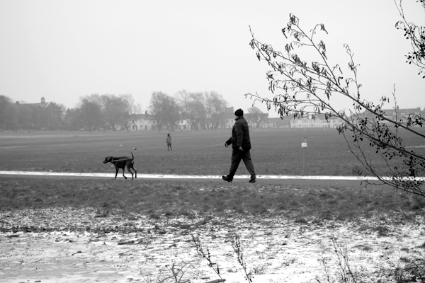 Man walking his dog. Wavertree Park. Liverpool, March 2018. 